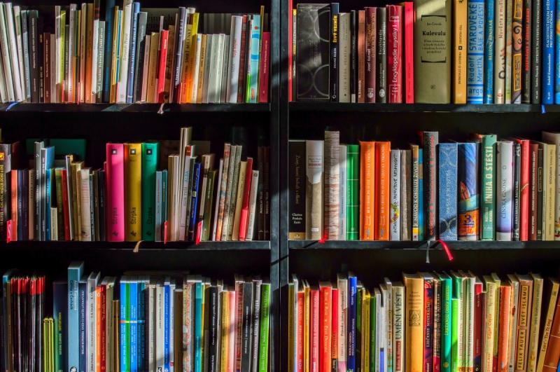 vitrine-LE LUC-min_books_bookstore_book_reading_shop_writer_sale_books_read-822866